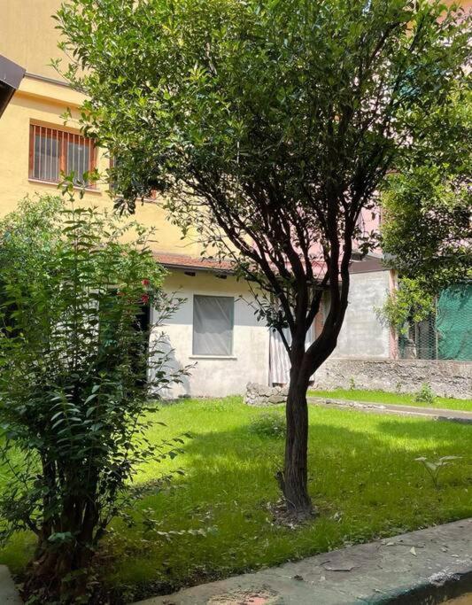 Il Giardino Nascosto Διαμέρισμα Omegna Εξωτερικό φωτογραφία
